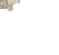 Hesselbach